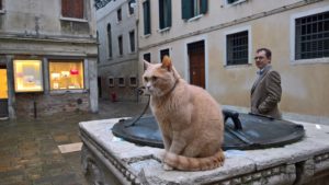 wp_20161105_15_46_21_pro